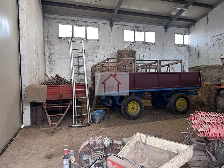 Immagine 4 di Capannone industriale in affitto  a Spresiano