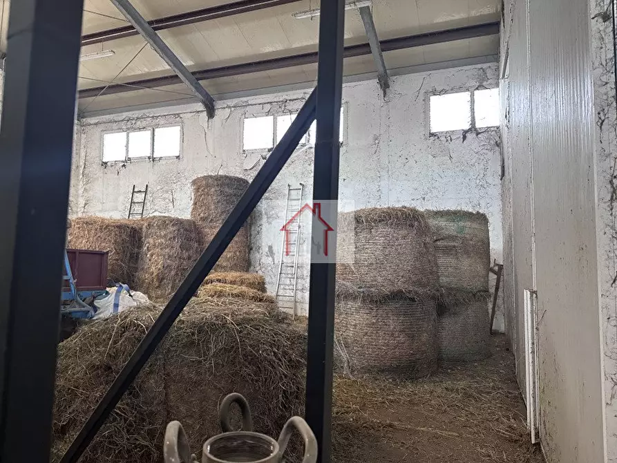 Immagine 5 di Capannone industriale in affitto  a Spresiano