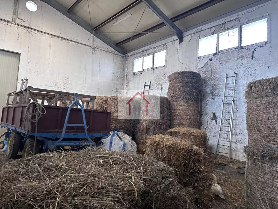 Immagine 7 di Capannone industriale in affitto  a Spresiano