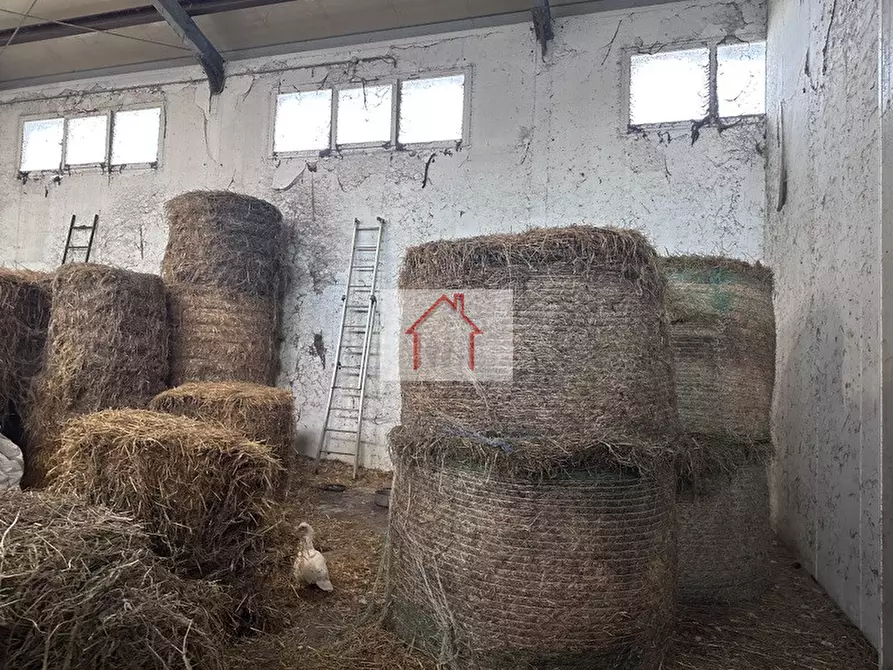 Immagine 8 di Capannone industriale in affitto  a Spresiano