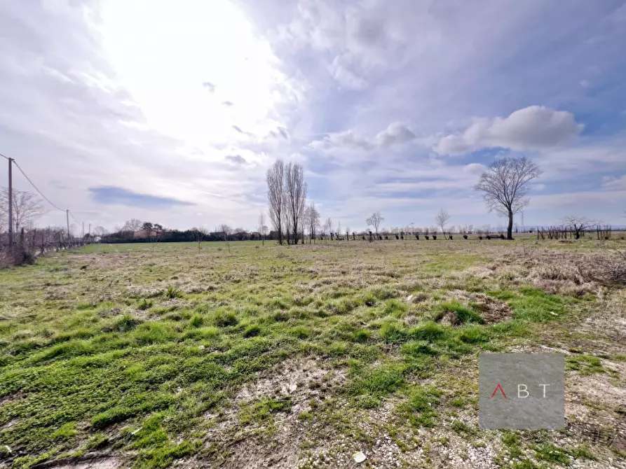 Immagine 10 di Casa indipendente in vendita  a Piazzola Sul Brenta