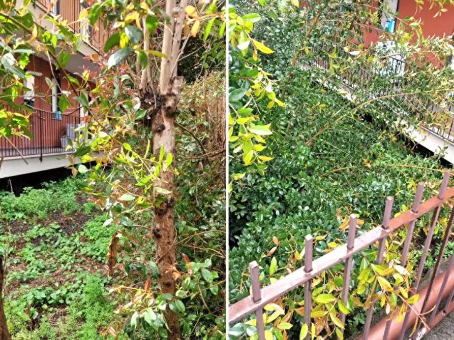 attico in vendita a Giarre