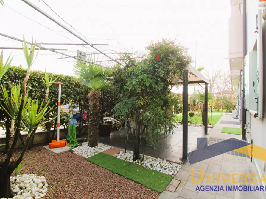 Immagine 11 di Appartamento in vendita  in Via Margarise a San Giorgio Delle Pertiche