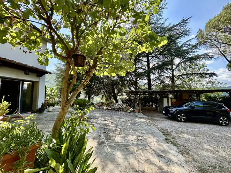 Immagine 25 di Villa in vendita  in via frascole a Dicomano