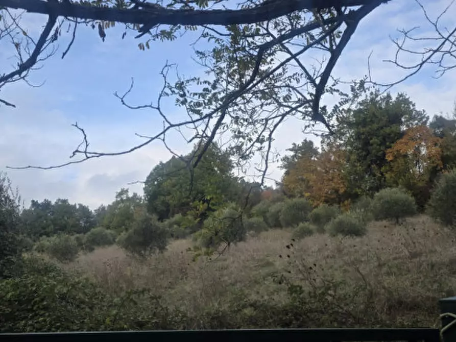 Immagine 5 di Villa in vendita  in via Rio Maggiore a Sasso Marconi