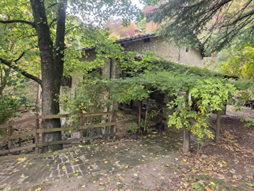 Immagine 6 di Villa in vendita  in via Rio Maggiore a Sasso Marconi