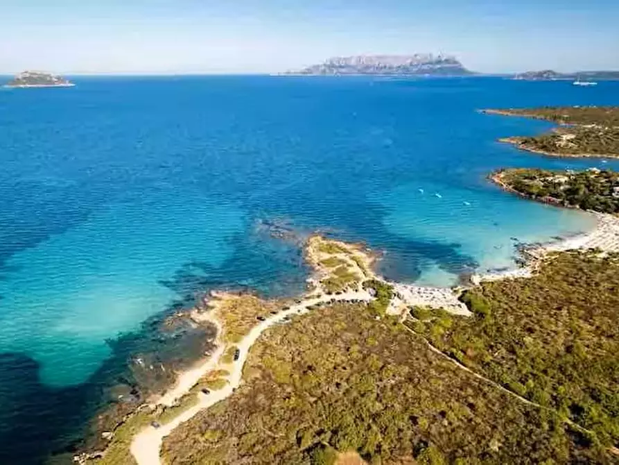 Immagine 15 di Appartamento in vendita  a Golfo Aranci