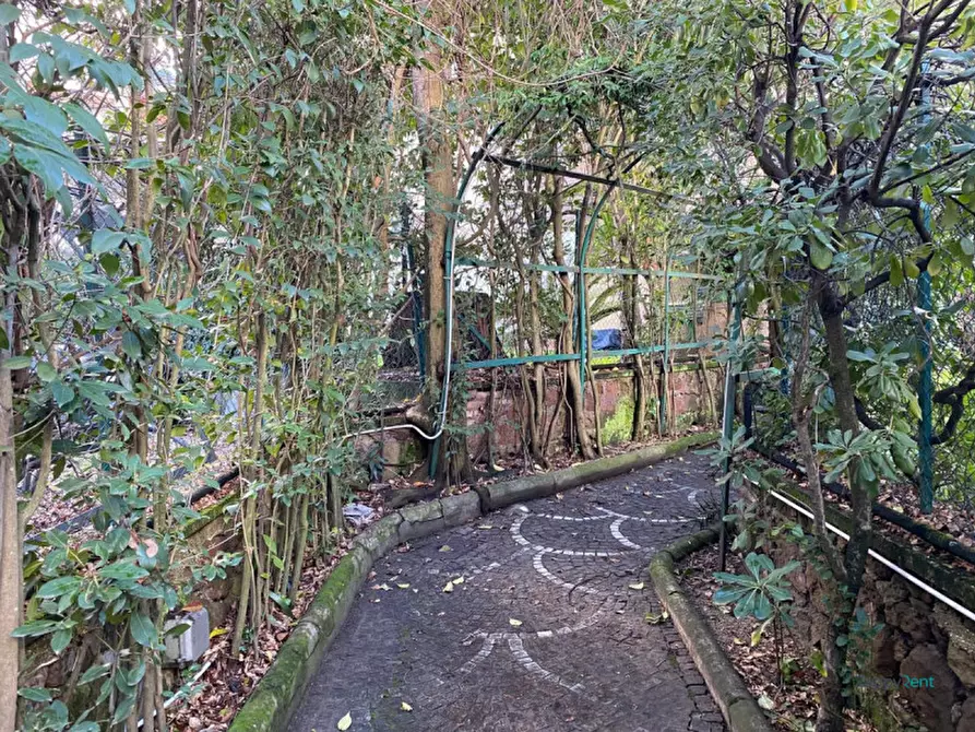 Immagine 24 di Appartamento in affitto  in Via Ceresio, 26 a Roma