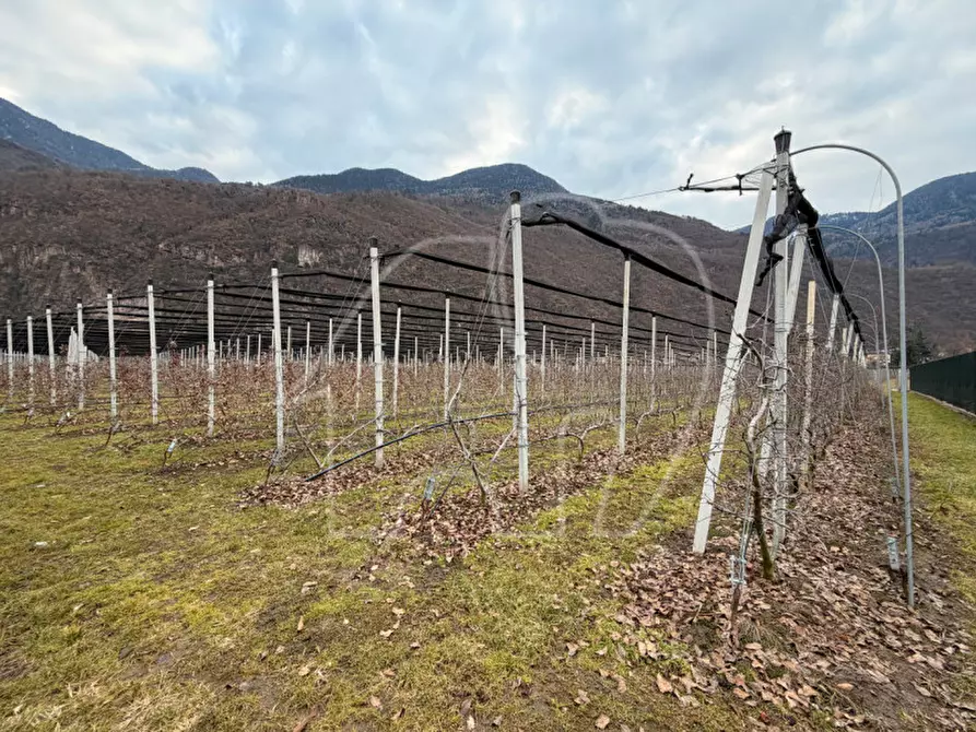 Immagine 2 di Rustico / casale in vendita  a Laives .Leifers.