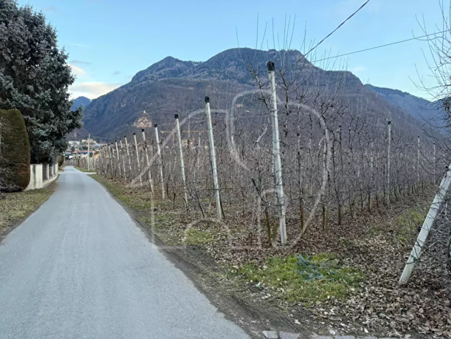 Immagine 7 di Rustico / casale in vendita  a Laives .Leifers.