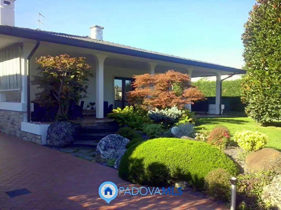 Immagine 1 di Villa in vendita  in Via Cappello a Noventa Padovana
