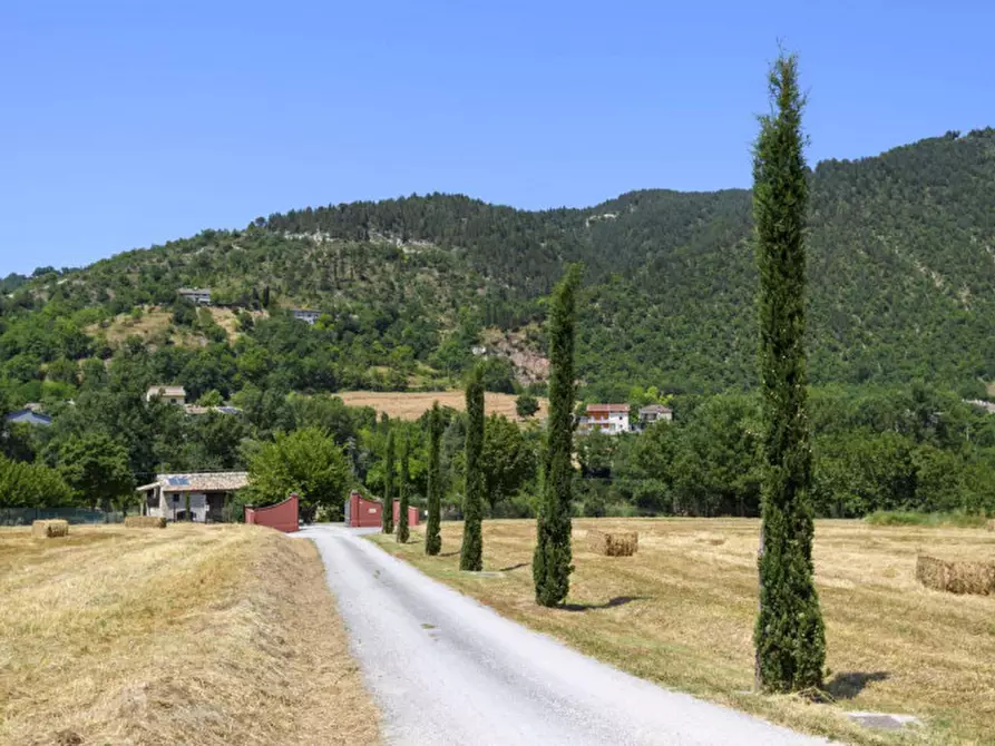 Immagine 71 di Rustico / casale in vendita  in strada Valubbio a Acqualagna