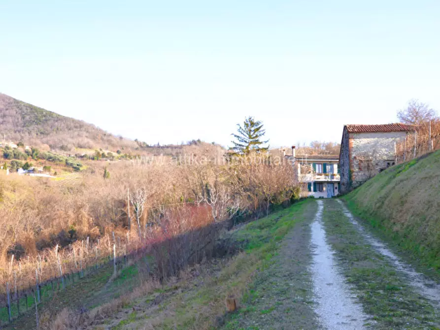 Immagine 5 di Rustico / casale in vendita  in Via Monte Versa a Vo
