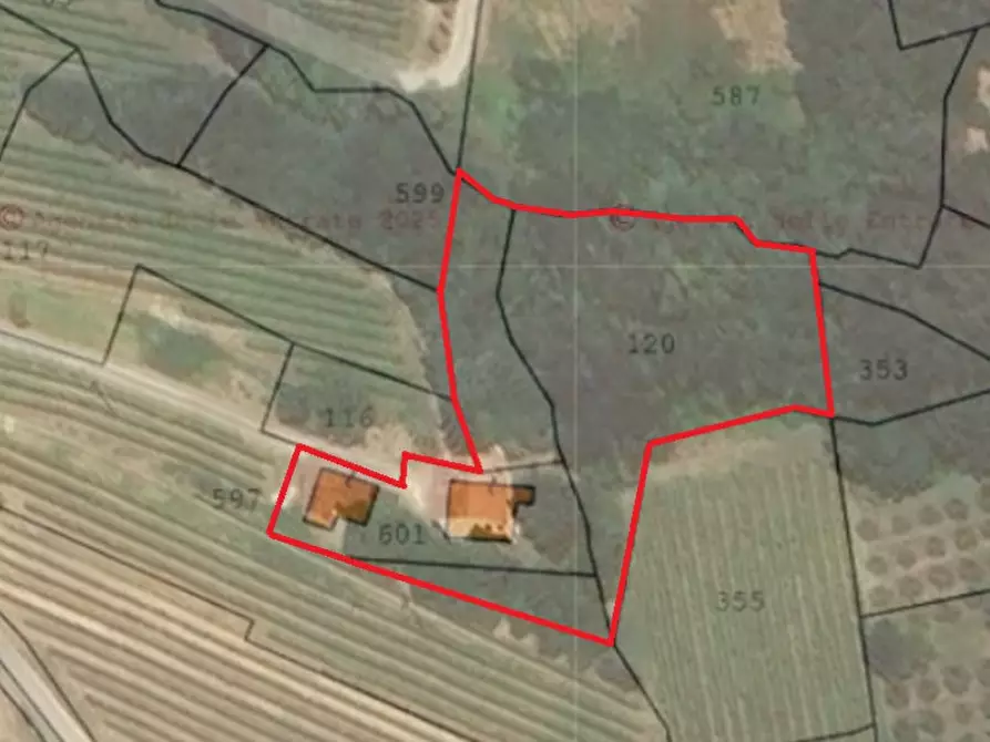 Immagine 7 di Rustico / casale in vendita  in Via Monte Versa a Vo