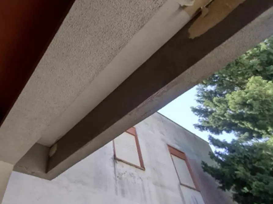 Immagine 11 di Appartamento in vendita  in Via Libertà a Valderice