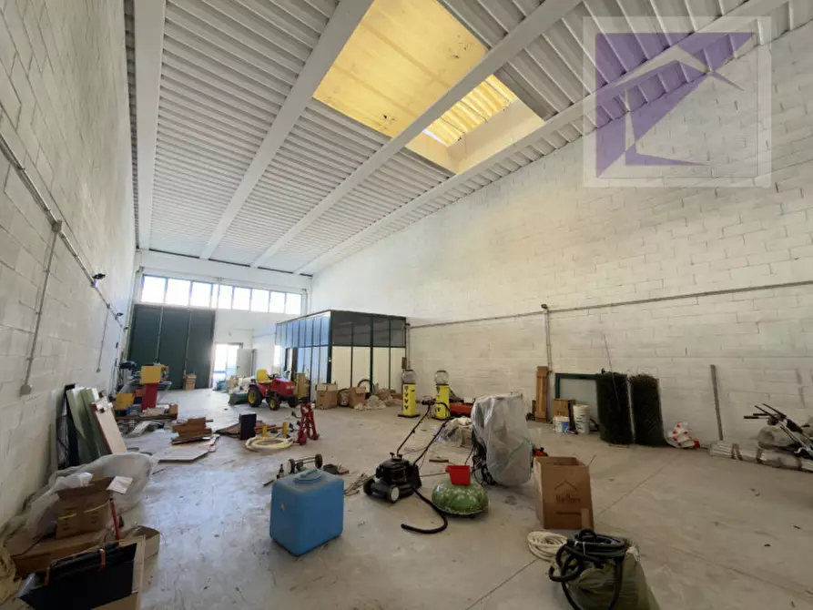 Immagine 2 di Capannone industriale in vendita  a Loreggia