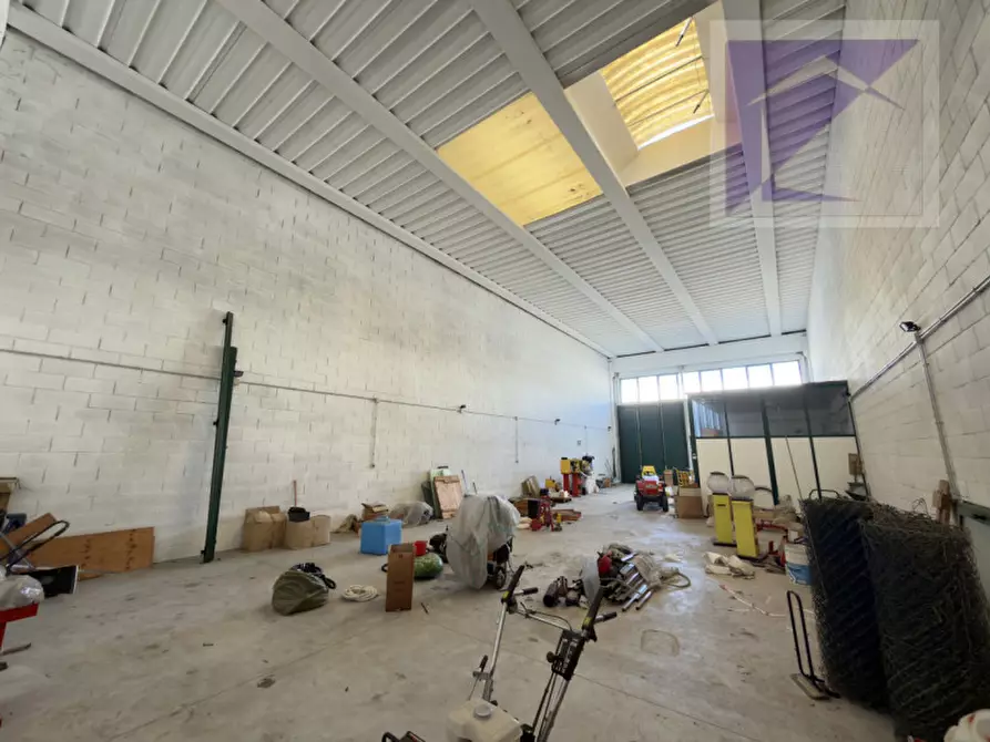 Immagine 3 di Capannone industriale in vendita  a Loreggia