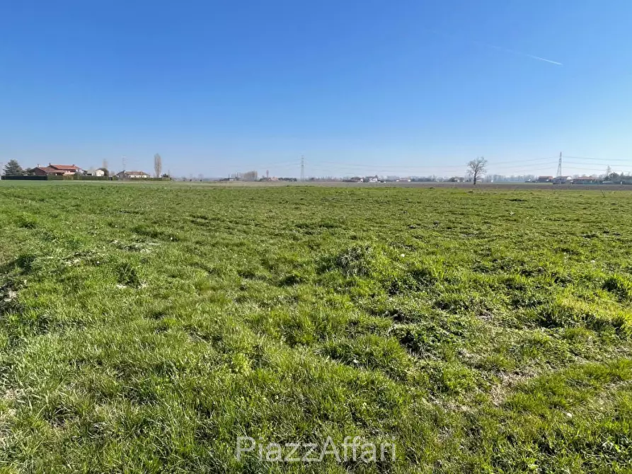 Immagine 3 di Terreno in vendita  in Via Cavaizza a Codevigo
