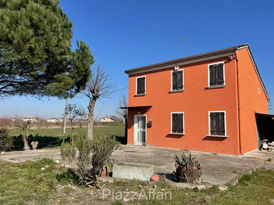 Immagine 10 di Terreno in vendita  in Via Cavaizza a Codevigo