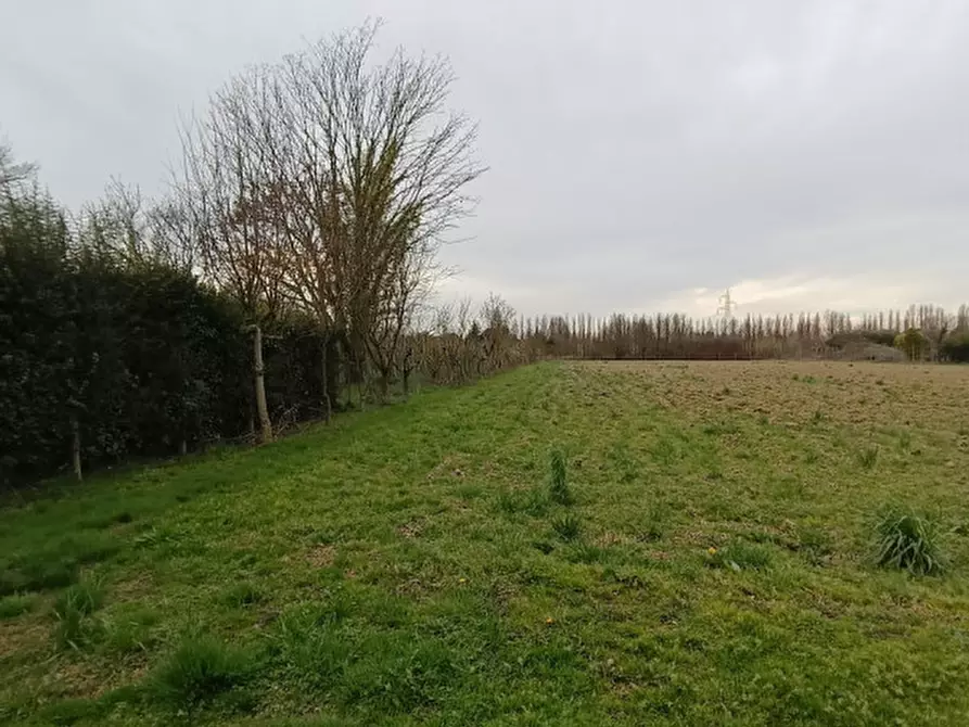 Immagine 13 di Villetta a schiera in vendita  a Saonara