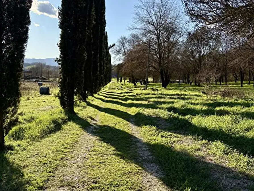Immagine 22 di Multiproprietà in vendita  in Via di piantravigne a Terranuova Bracciolini