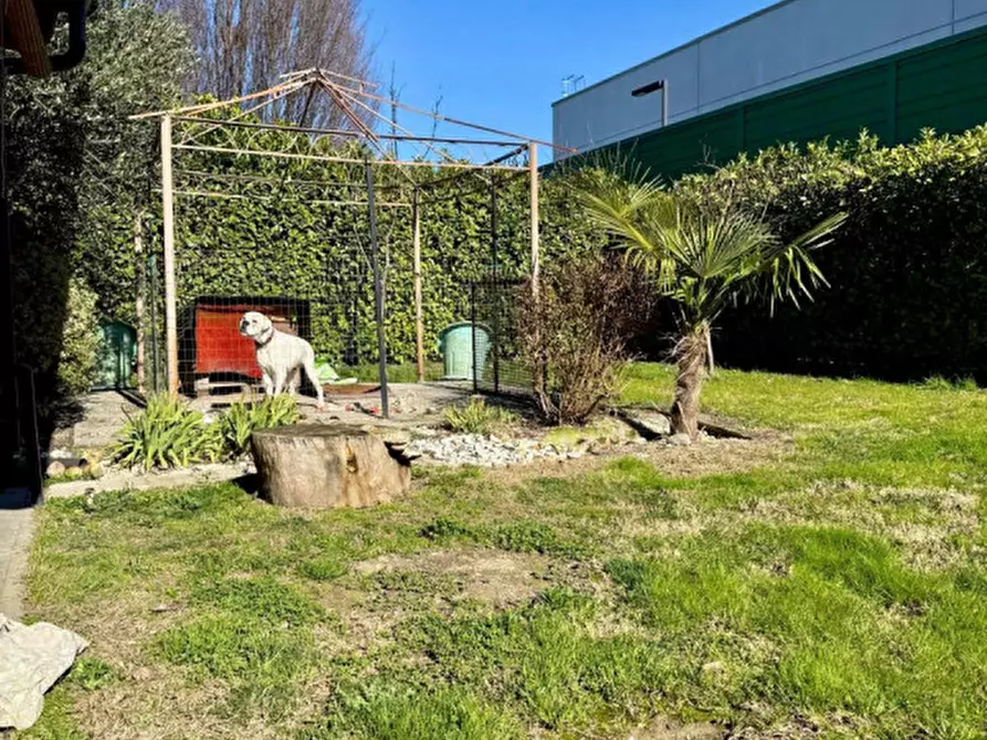 Immagine 15 di Villa in vendita  in Via Ugozzolo, 111 a Parma