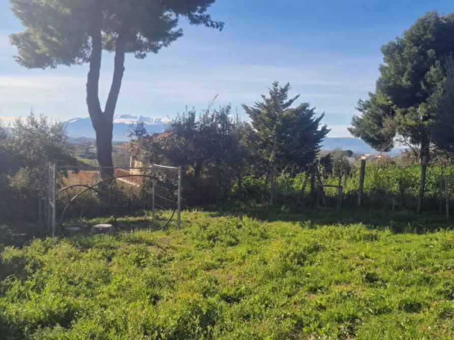 Immagine 2 di Terreno in vendita  in Strada Provinciale a Città Sant'angelo