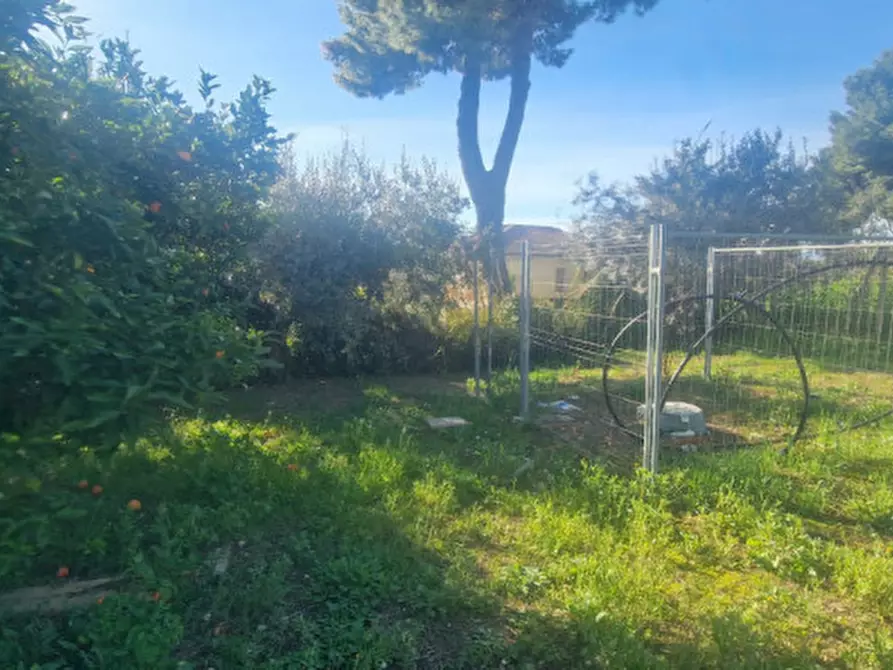 Immagine 3 di Terreno in vendita  in Strada Provinciale a Città Sant'angelo