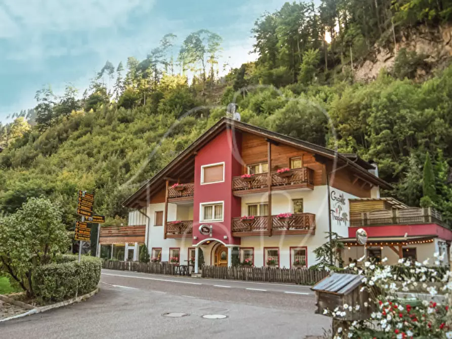 Immagine 3 di Attività commerciale in vendita  in Unterbirchabruck a Nova Ponente .Deutschnofen.