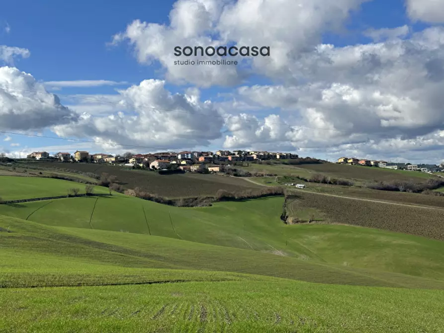 Immagine 3 di Terreno in vendita  in Via Fonte a San Costanzo