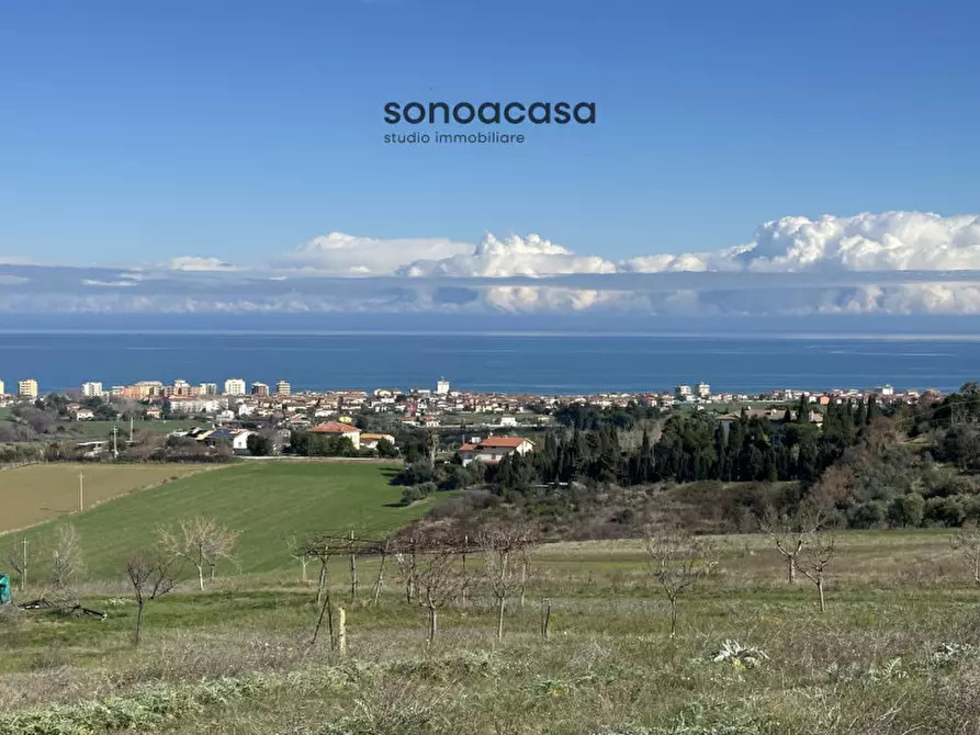 Immagine 4 di Terreno in vendita  in Via Fonte a San Costanzo