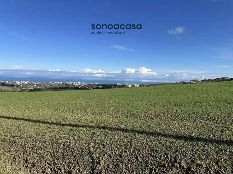 Immagine 5 di Terreno in vendita  in Via Fonte a San Costanzo