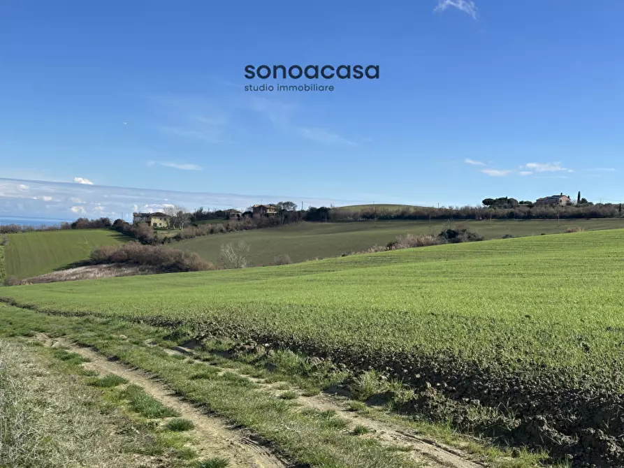 Immagine 6 di Terreno in vendita  in Via Fonte a San Costanzo