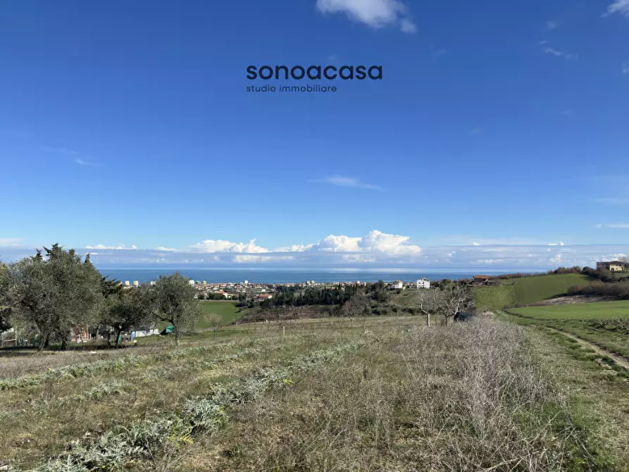 Immagine 8 di Terreno in vendita  in Via Fonte a San Costanzo