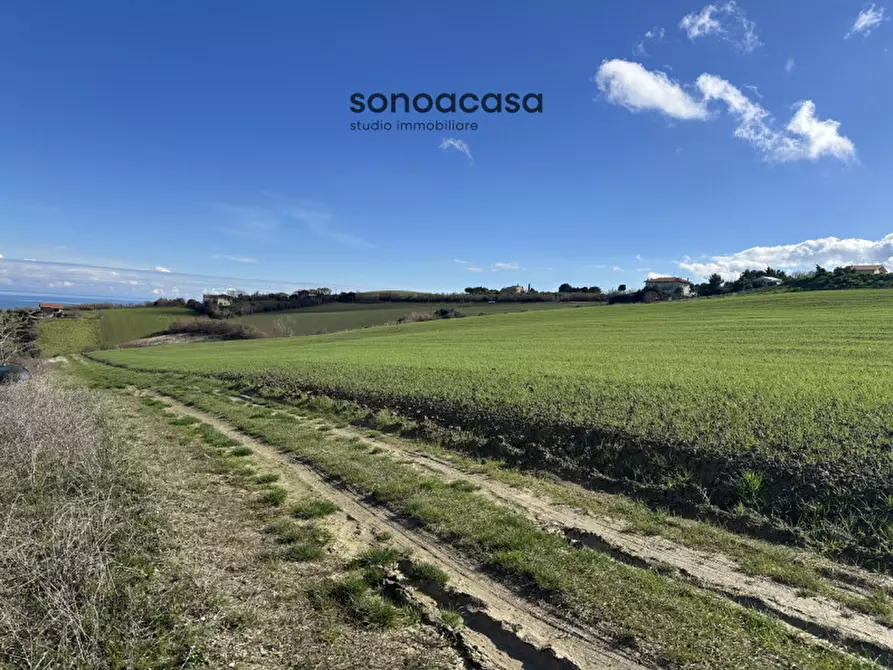 Immagine 10 di Terreno in vendita  in Via Fonte a San Costanzo