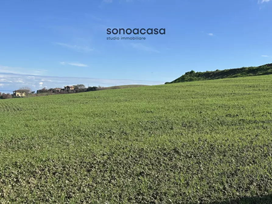 Immagine 11 di Terreno in vendita  in Via Fonte a San Costanzo