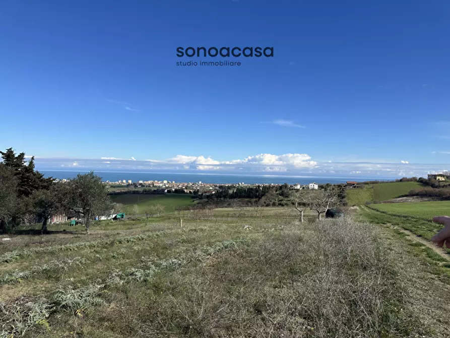 Immagine 13 di Terreno in vendita  in Via Fonte a San Costanzo