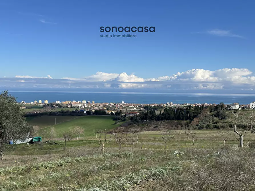 Immagine 14 di Terreno in vendita  in Via Fonte a San Costanzo