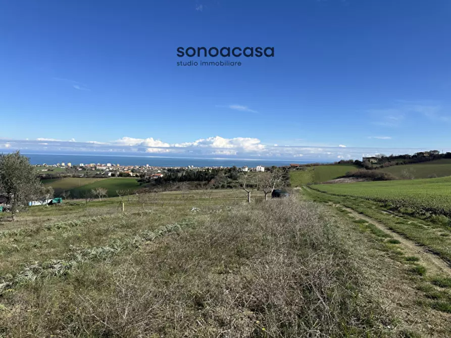 Immagine 16 di Terreno in vendita  in Via Fonte a San Costanzo