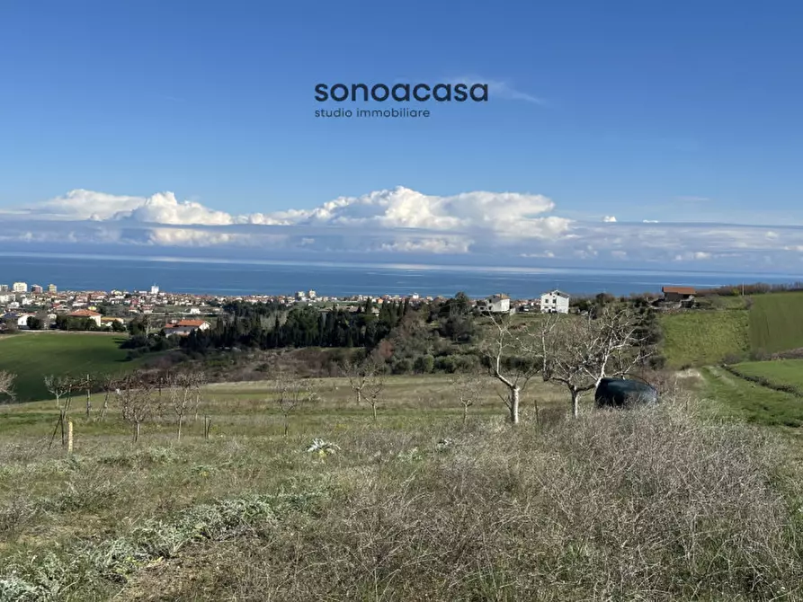 Immagine 17 di Terreno in vendita  in Via Fonte a San Costanzo