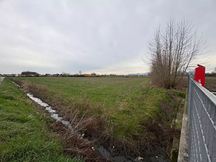 Immagine 4 di Terreno in vendita  in Via Adige a Veggiano