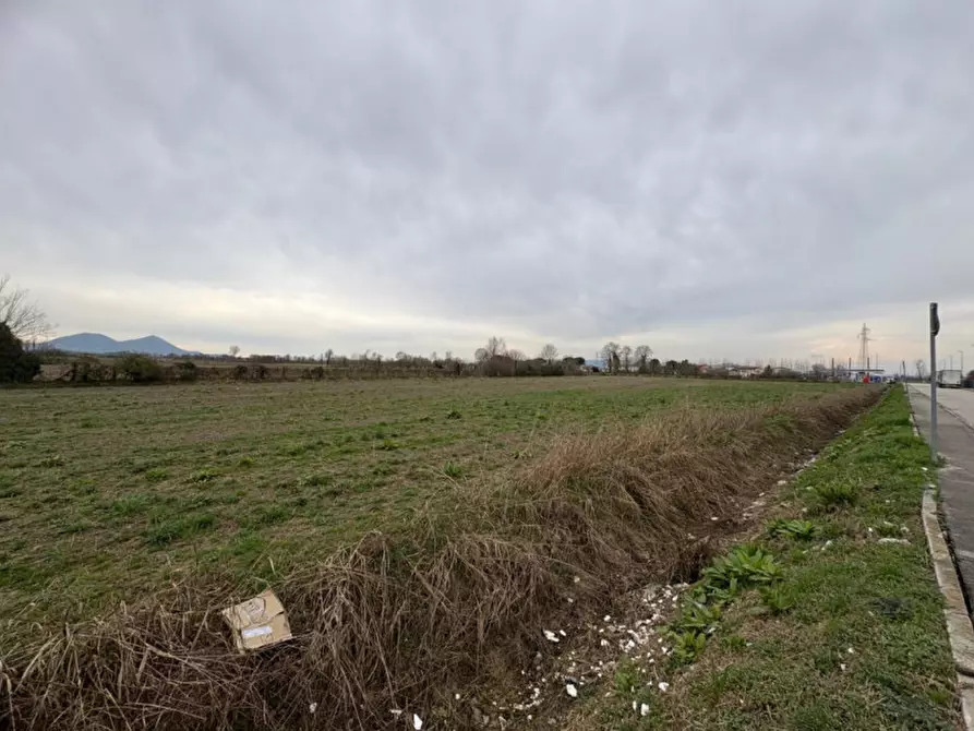 Immagine 10 di Terreno in vendita  in Via Adige a Veggiano