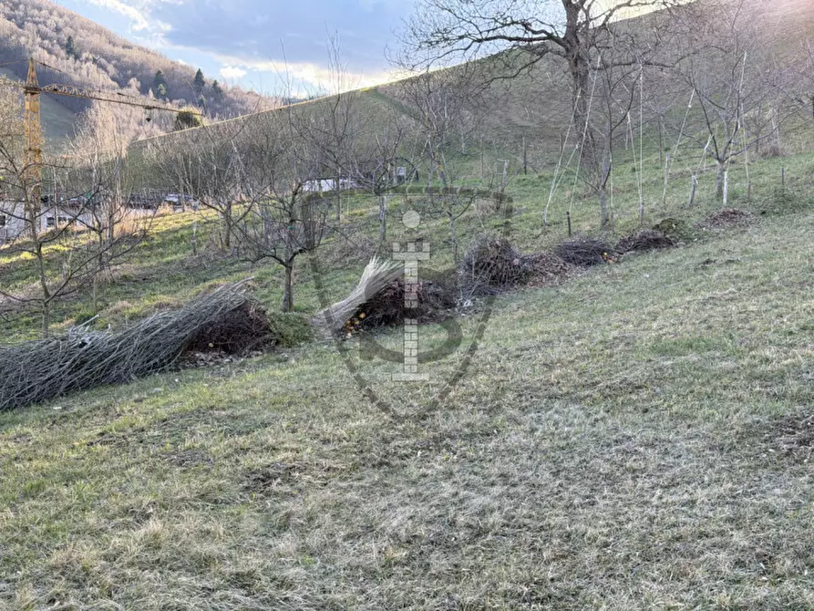 Immagine 6 di Terreno in vendita  in Via Cenzi a Lusiana Conco
