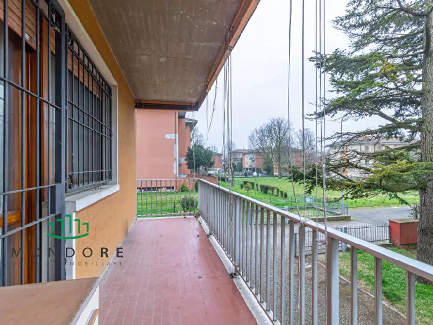 Immagine 14 di Appartamento in vendita  in Via Amendola a Minerbio