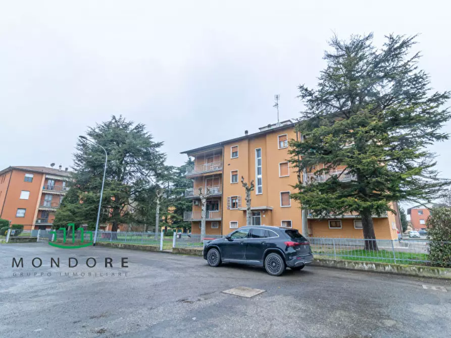 Immagine 32 di Appartamento in vendita  in Via Amendola a Minerbio