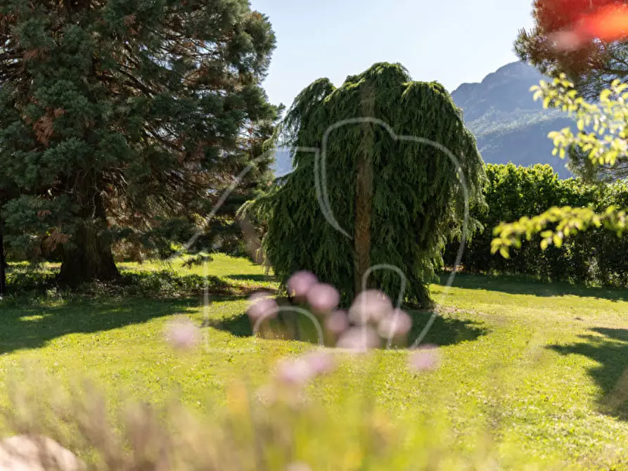 Immagine 19 di Villa in vendita  a Appiano Sulla Strada Del Vino .Eppan An Der.
