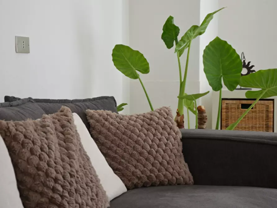 Immagine 4 di Villa in vendita  in Via Paolina Caproni Maini a Arco