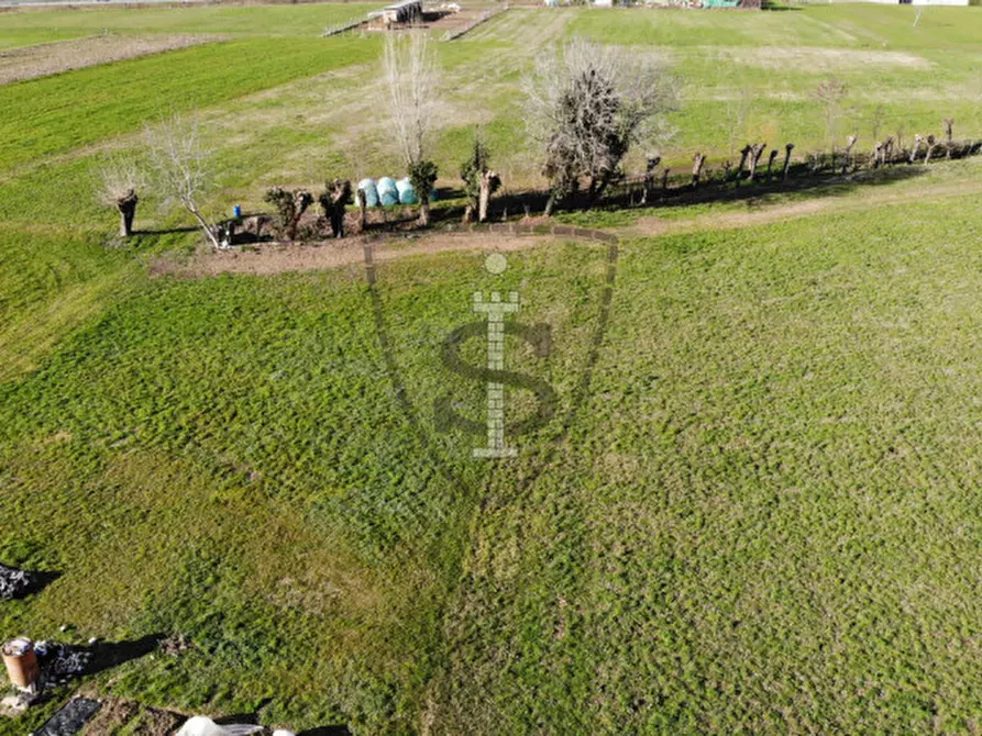 Immagine 5 di Terreno in vendita  in Via Ca' Boina a Nove