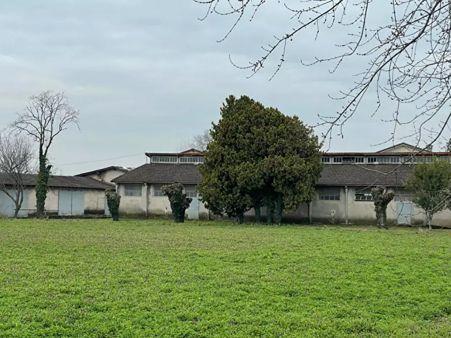 Immagine 3 di Magazzino in vendita  in Via Cassetta a Lonato del Garda