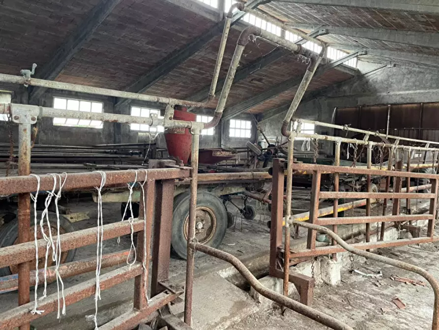 Immagine 4 di Magazzino in vendita  in Via Cassetta a Lonato del Garda